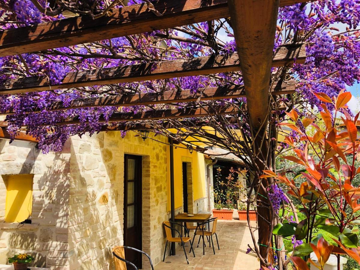 Il Cortile Delle Rose Holiday House Perugia Exterior photo